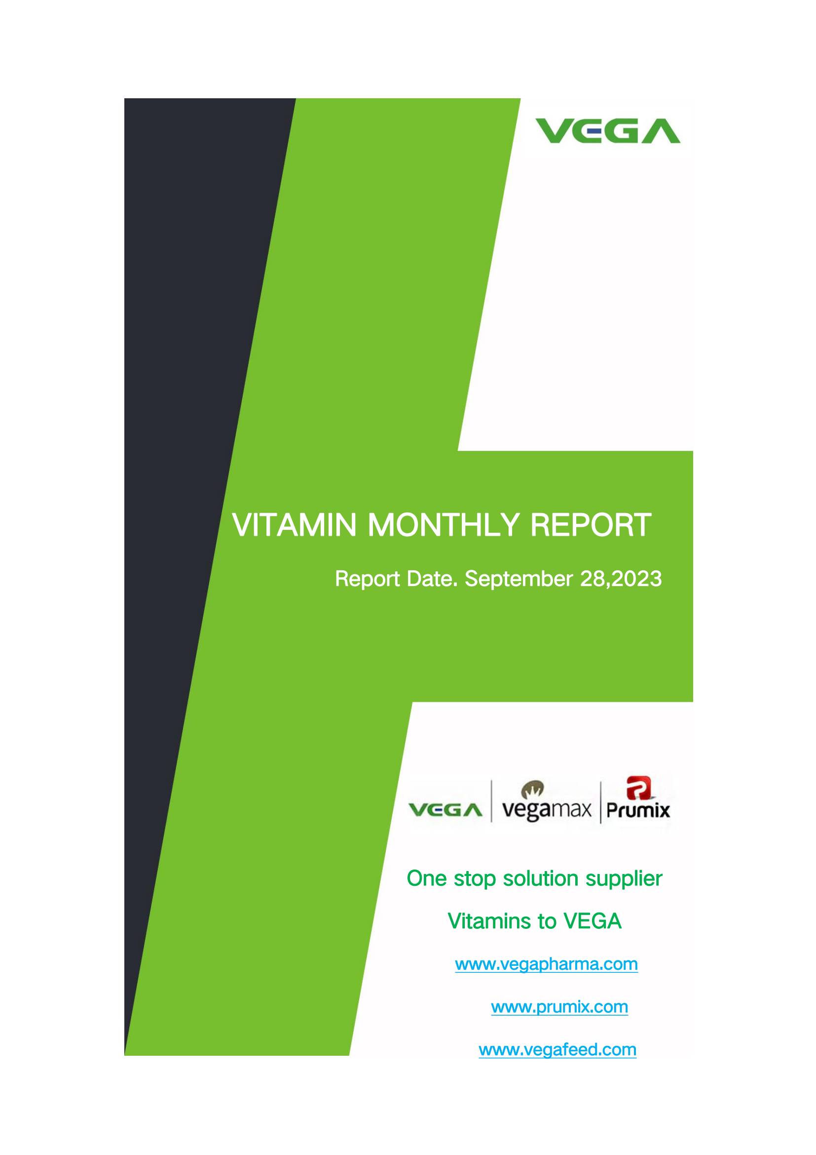 Vitamin Market Report Of Sep-VEGA(1)_00.png